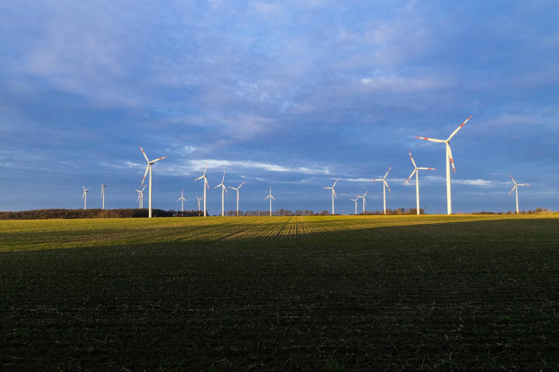 Bild zu Windenergie – OVG Bautzen: Neue Hürden für Vorbescheidsverfahren nach § 9 Abs. 1a BImSchG