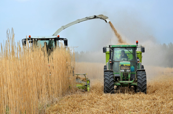 Bild zu Biogas – Klarheit zur Lagerung von Gärrückständen nach Düngeverordnung