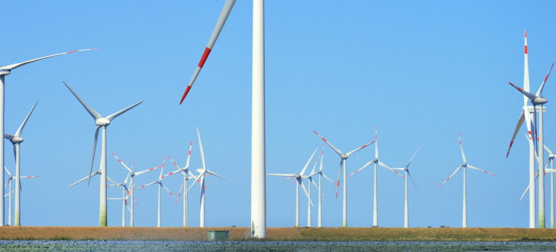 Bild zu OVG bestätigt Genehmigungen für Windpark – Klage des Umweltverbands erfolglos