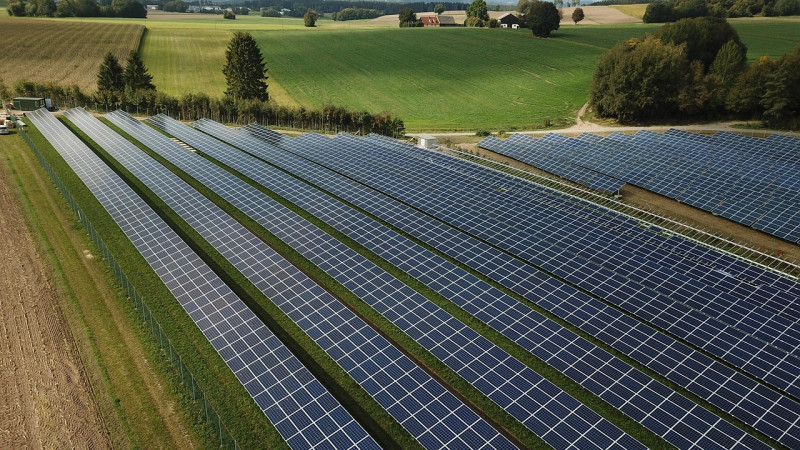 Bild zu Photovoltaik fördert Biodiversität: bne-Studie liefert neue Impulse für Genehmigungsverfahren