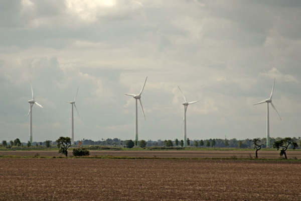 Bild zu Regionalplan Ostthüringen: Unwirksamkeit des Kapitels Windenergienutzung - BVerwG weist Nichtzulassungsbeschwerde ab
