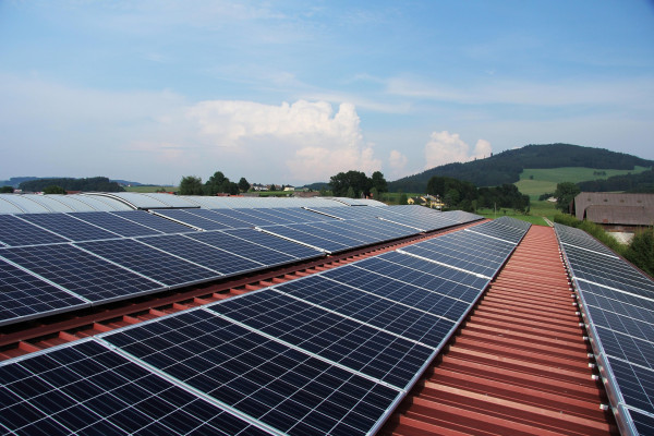 Bild zu Interview mit Prof. Maslaton zum BGH-Urteil zur EEG-Vergütung