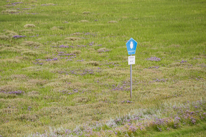 Bild zu Windenergie und Artenschutz – OVG NRW bestätigt Abriss künstlicher Nisthilfe