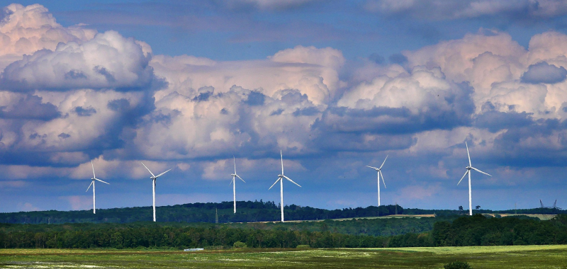 Bild zu Windenergie-Ausschreibungen:  Sinkende Zuschlagswerte gefährden Projektökonomie