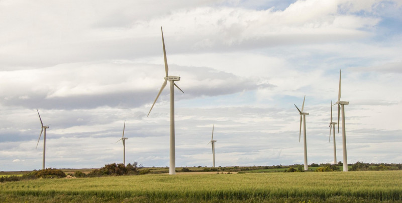 Bild zu RED III-Umsetzung: Schnellere Verfahren und neue Spielräume für Windenergie