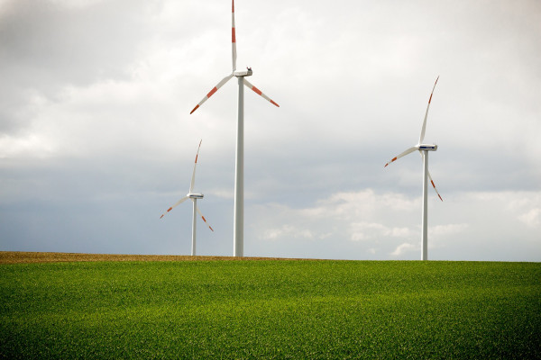 Bild zu Windenergie in Sachsen – Riesige Kluft zwischen Anspruch und Wirklichkeit