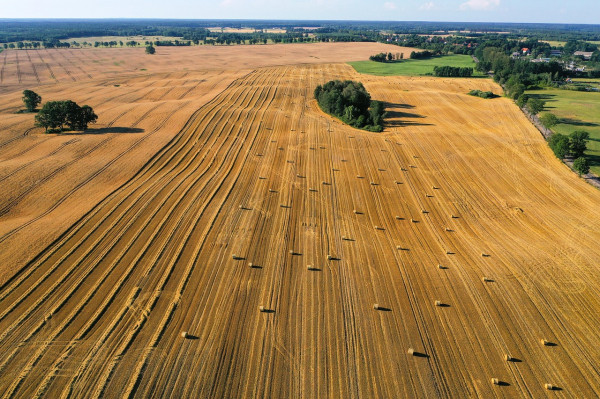 Bild zu Biogas-Regulierung ab 2026: BNetzA setzt neue Maßstäbe für Netzzugang und Bilan-zierung