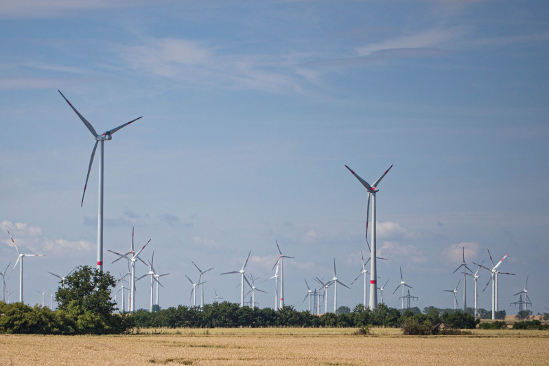Bild zu Windenergie - Ausnahmsloses Verbot von Windenergie im Wald ist verfassungswidrig